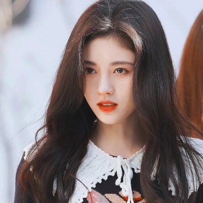 小狗当家